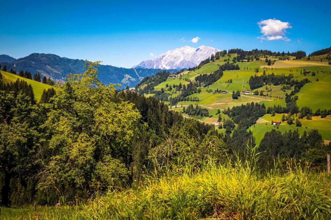 Hallmoosgut Sankt Johann im Pongau Eksteriør bilde